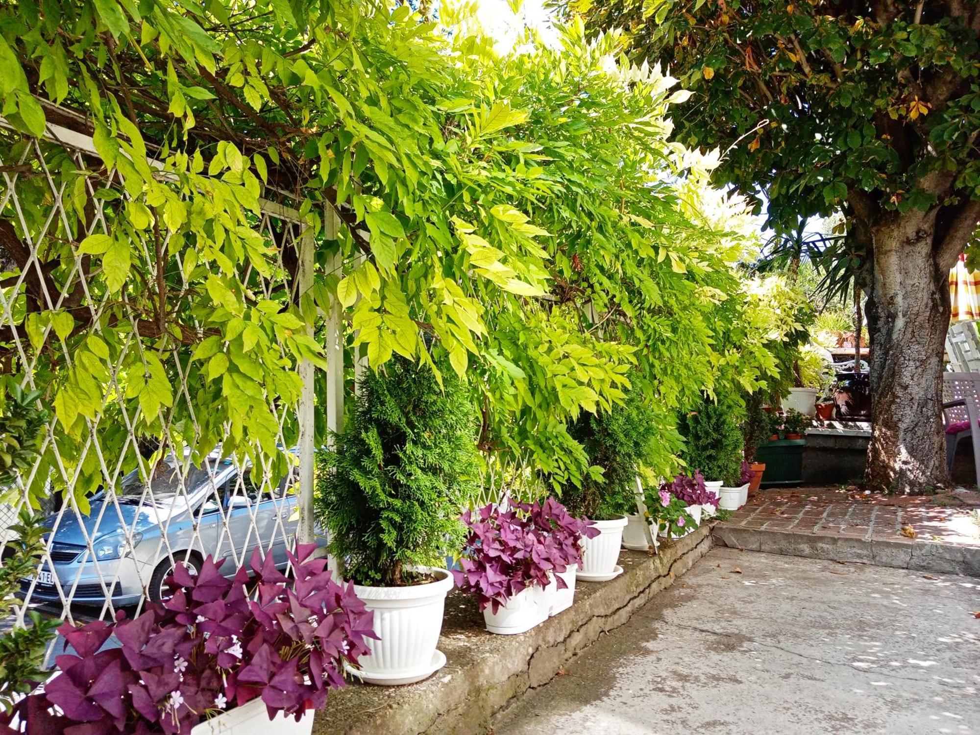 Belgrade Apartment Happy Garden Extérieur photo