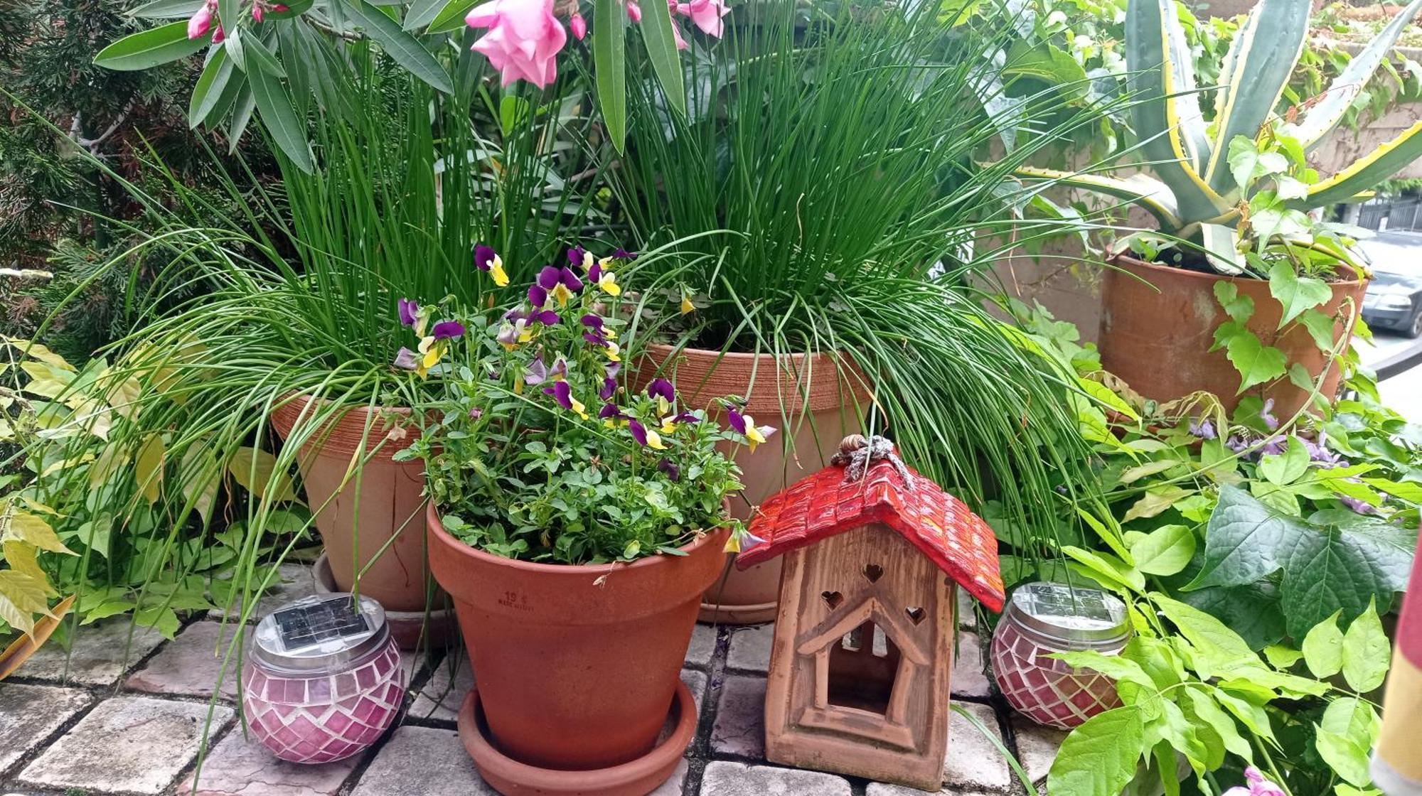 Belgrade Apartment Happy Garden Extérieur photo