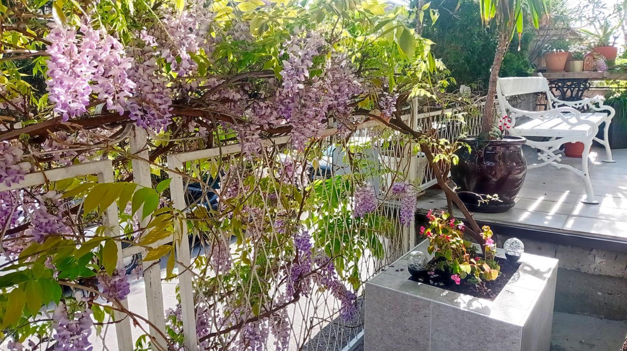 Belgrade Apartment Happy Garden Extérieur photo