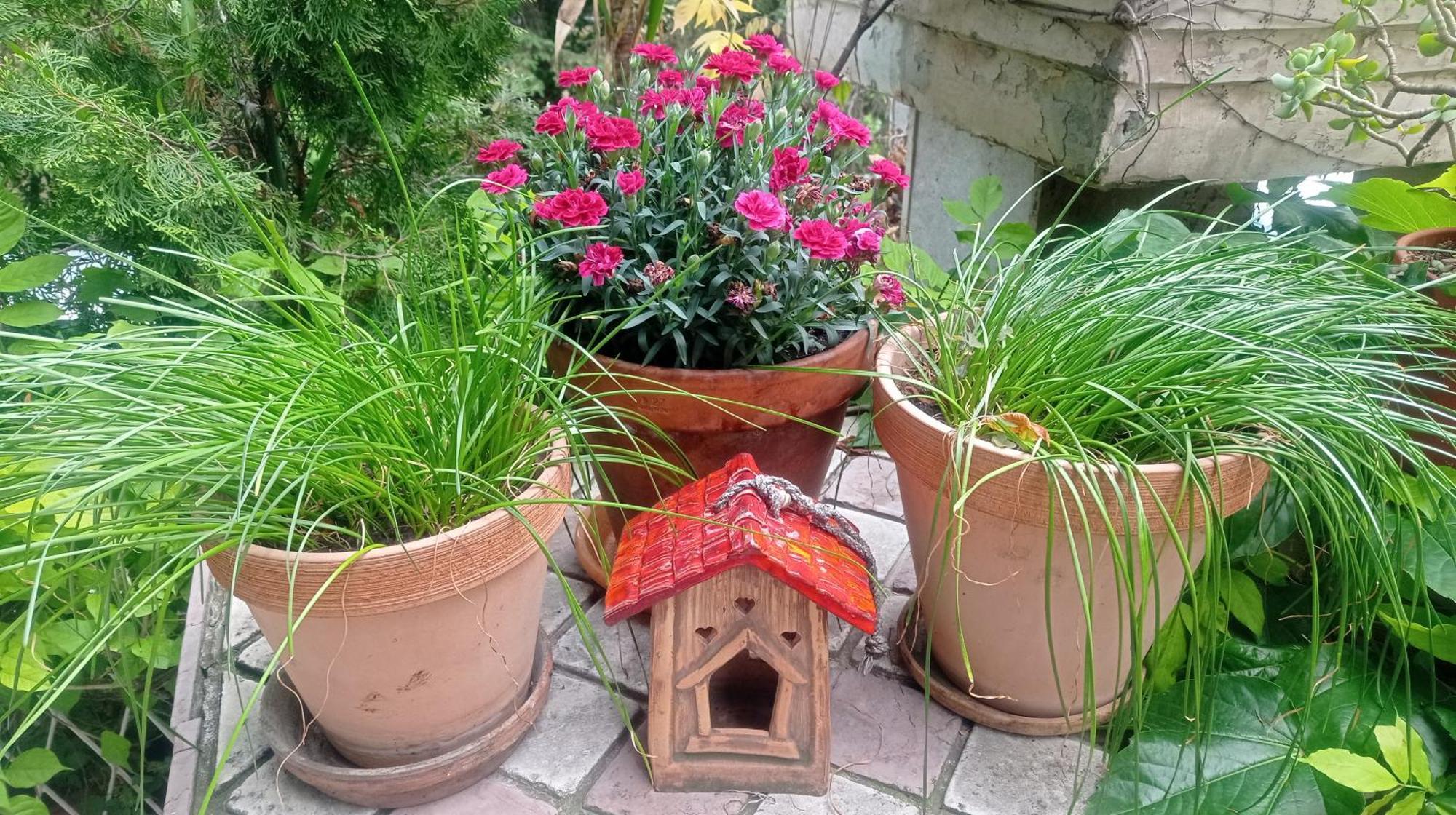 Belgrade Apartment Happy Garden Extérieur photo